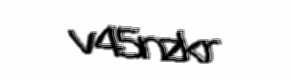 Security check image, please type the characters shown