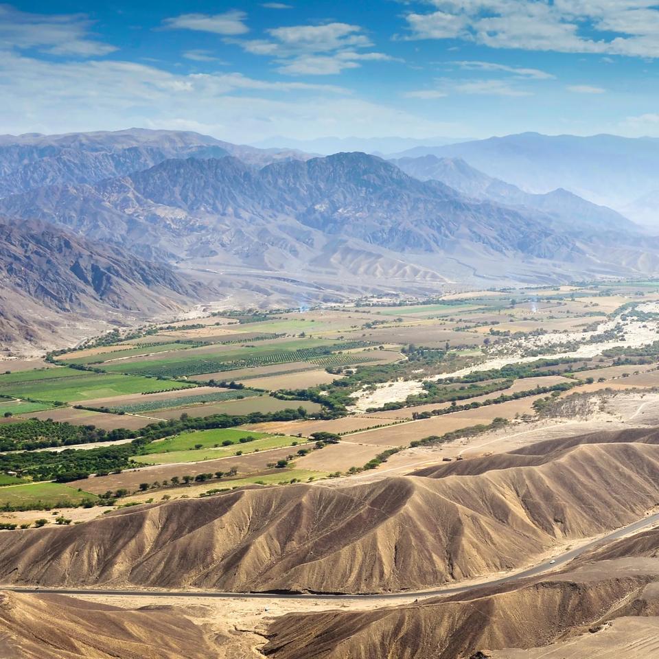 潘帕斯平原上的纳斯卡线