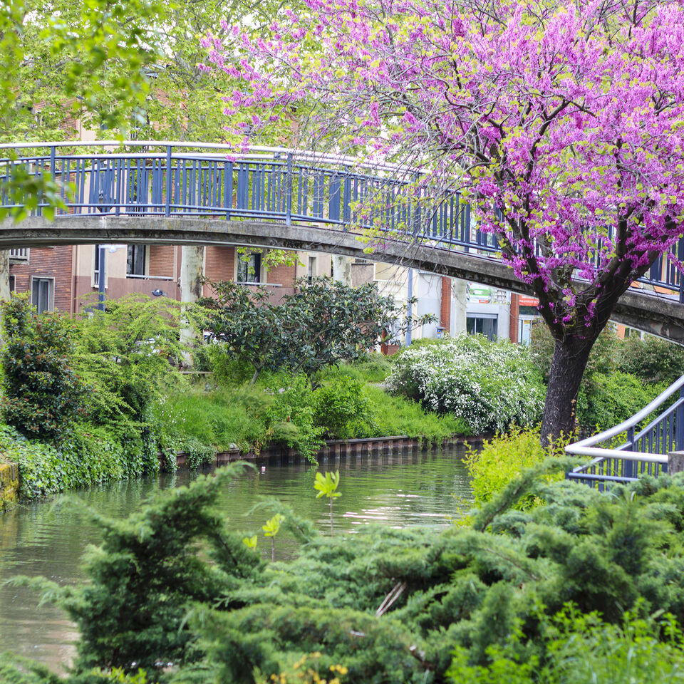 Klm Travel Guide Romantic Cruise On The Canal Du Midi