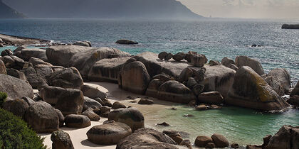 Avistamiento de ballenas en False Bay