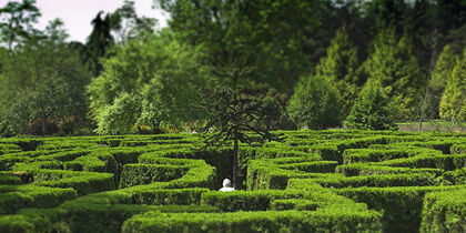 Errer dans le labyrinthe