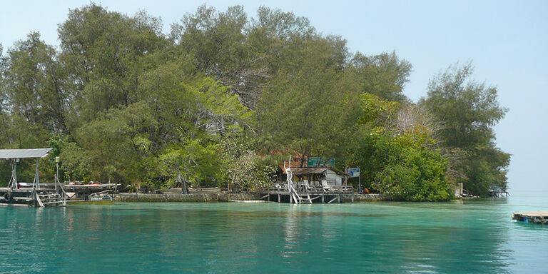 Tiger Island Village & Eco Resort