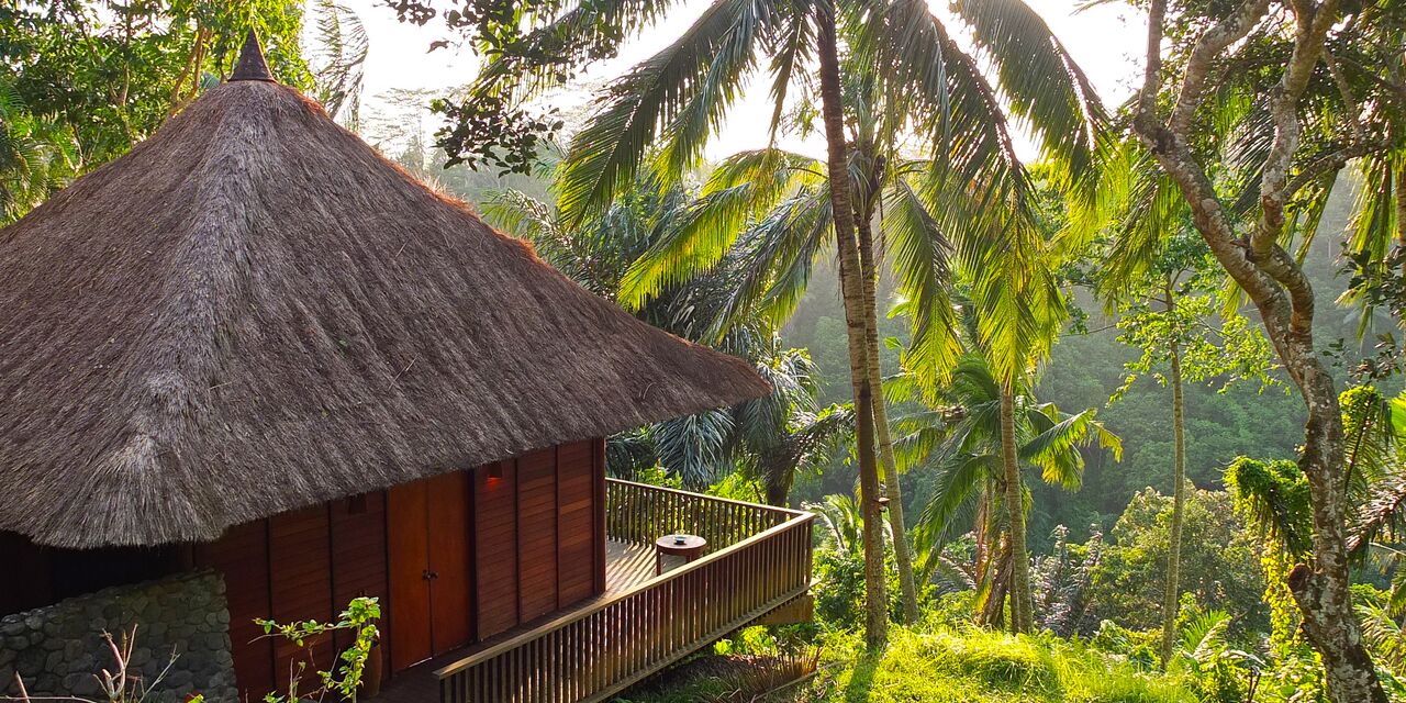 Relax in the rice fields