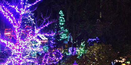 Mágicas luces de Navidad