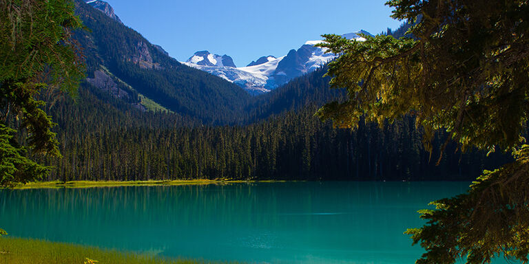 Le parc provincial Strathcona