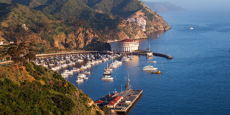 Espaces naturels et hospitalité sur l'île de Catalina