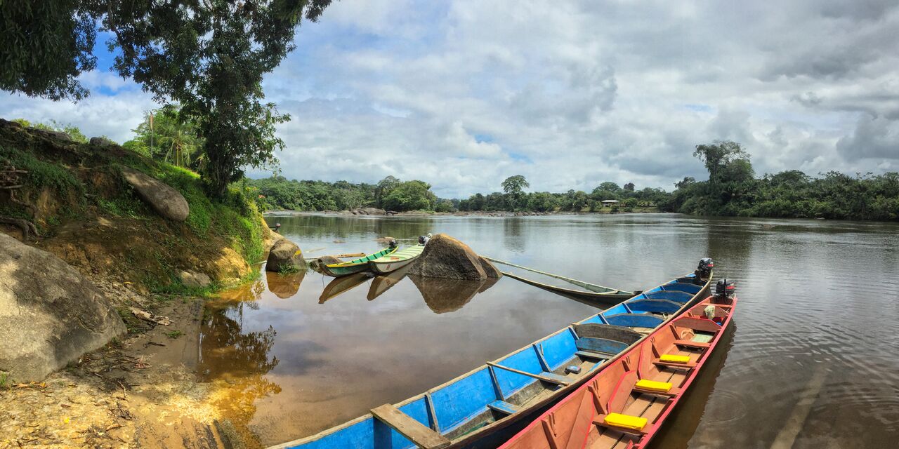 Le fleuve Suriname