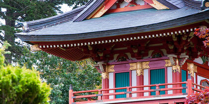 The Japanese tea garden