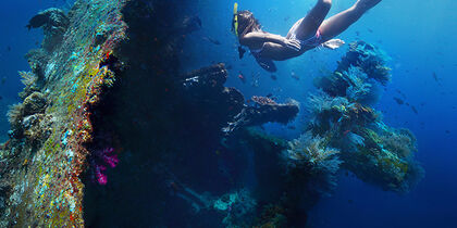 The Liberty wreck is covered with coral