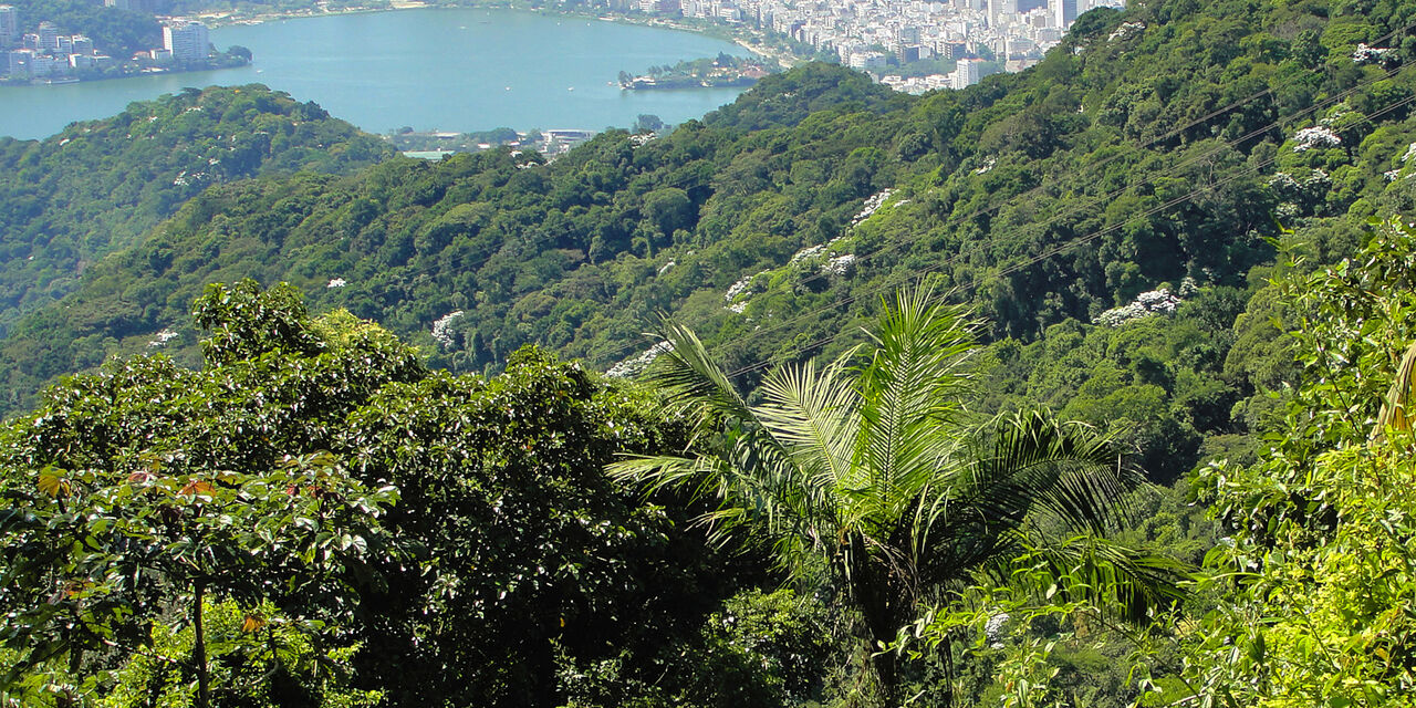 Río de Janeiro, la selva urbana que une samba y funk y las playas con las  favelas