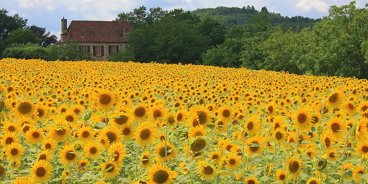 gu-a-de-viajes-de-klm-destinos-de-vacaciones-consejos-y-vuelos-klm