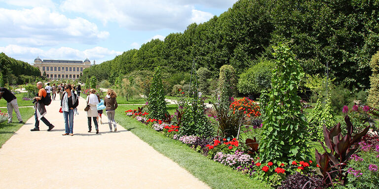 Jardín de las Plantas