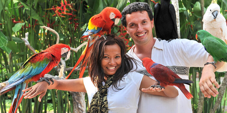 Op de foto in Bali Bird Park