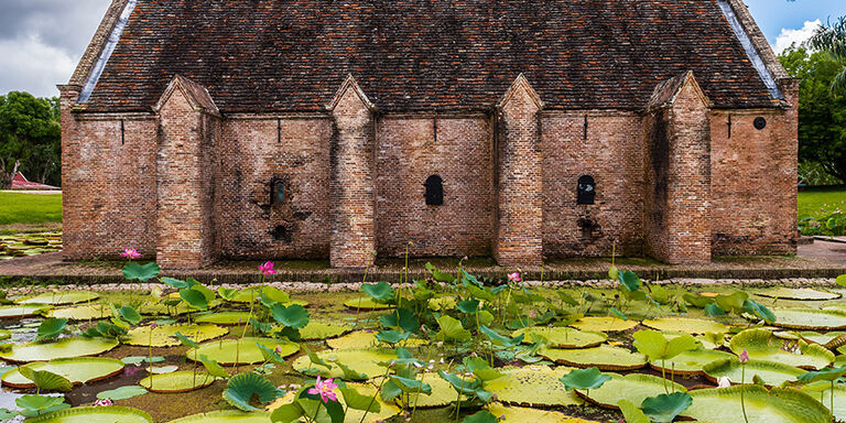 Lilies at Fort Nieuw Amsterdam