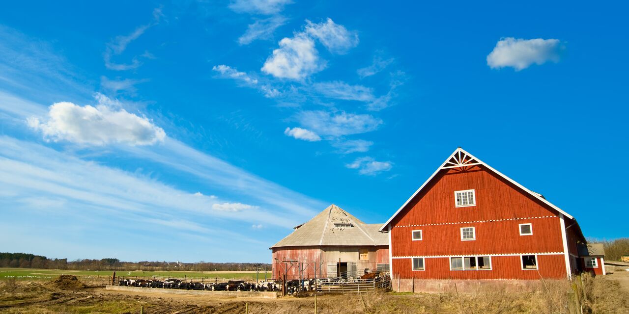 The Linköping countryside