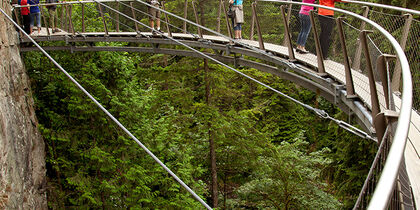 Suspended walkways at the Cliffwalk