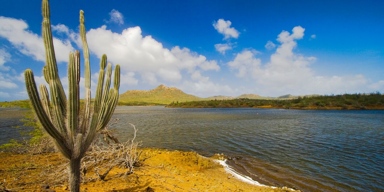 Parque Nacional Washington Slagbaai