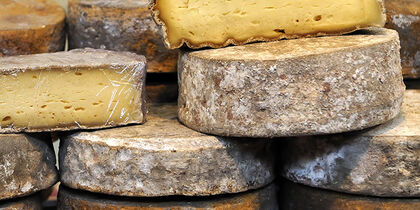 Delicious French cheeses