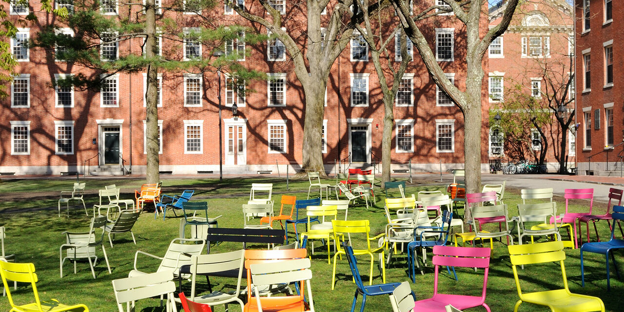 Harvard lawn online chairs