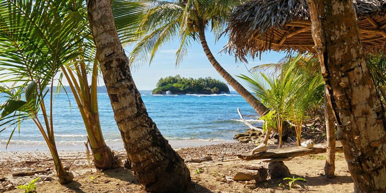 Cocoteros en Isla Bastimentos