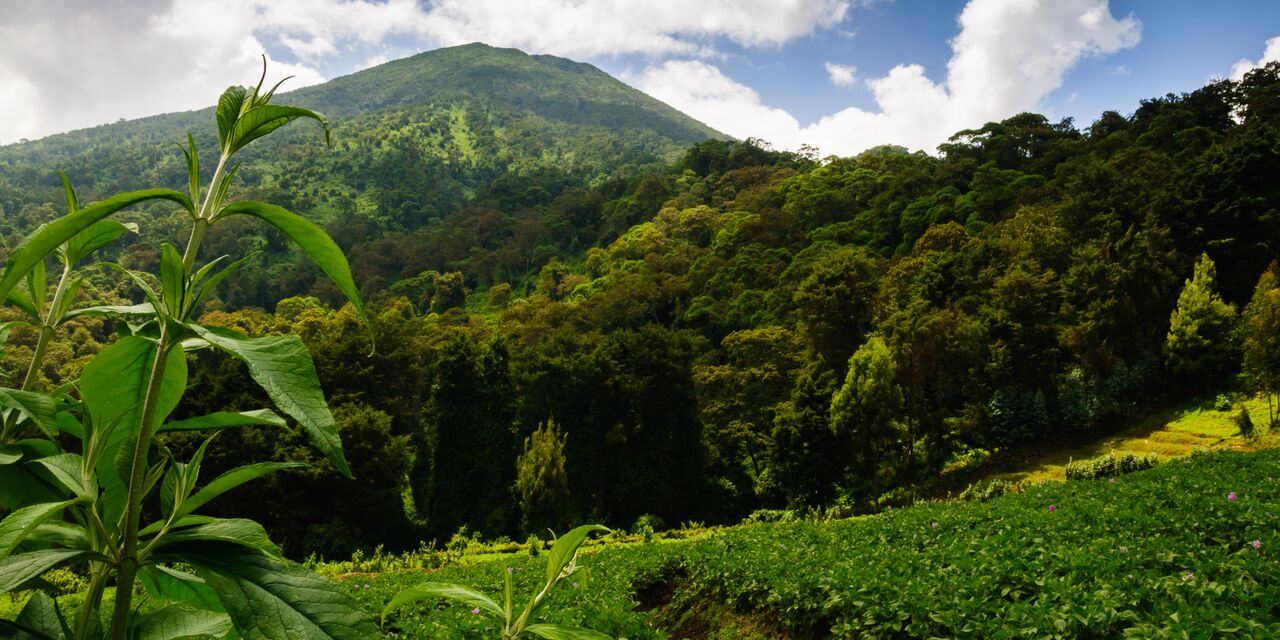 Parque nacional de los Volcanes