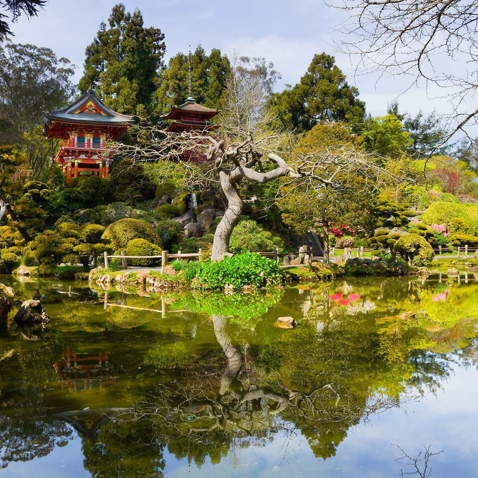 Klm Guia De Viajes Relax En El Golden Gate Park