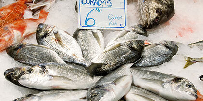 Pescado fresco en el mercado de la Barceloneta