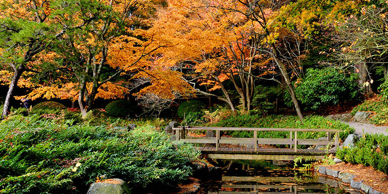 Une belle image d'automne