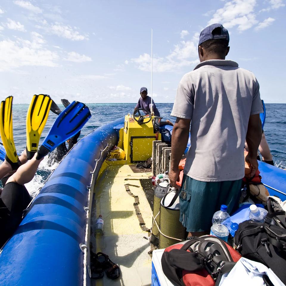 Klm 旅行指南 桑给巴尔岛精彩的水下世界