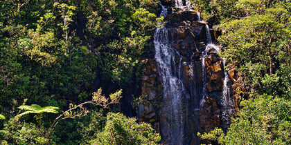 View of Alexandra Falls