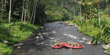 Rafting on the Ayung River