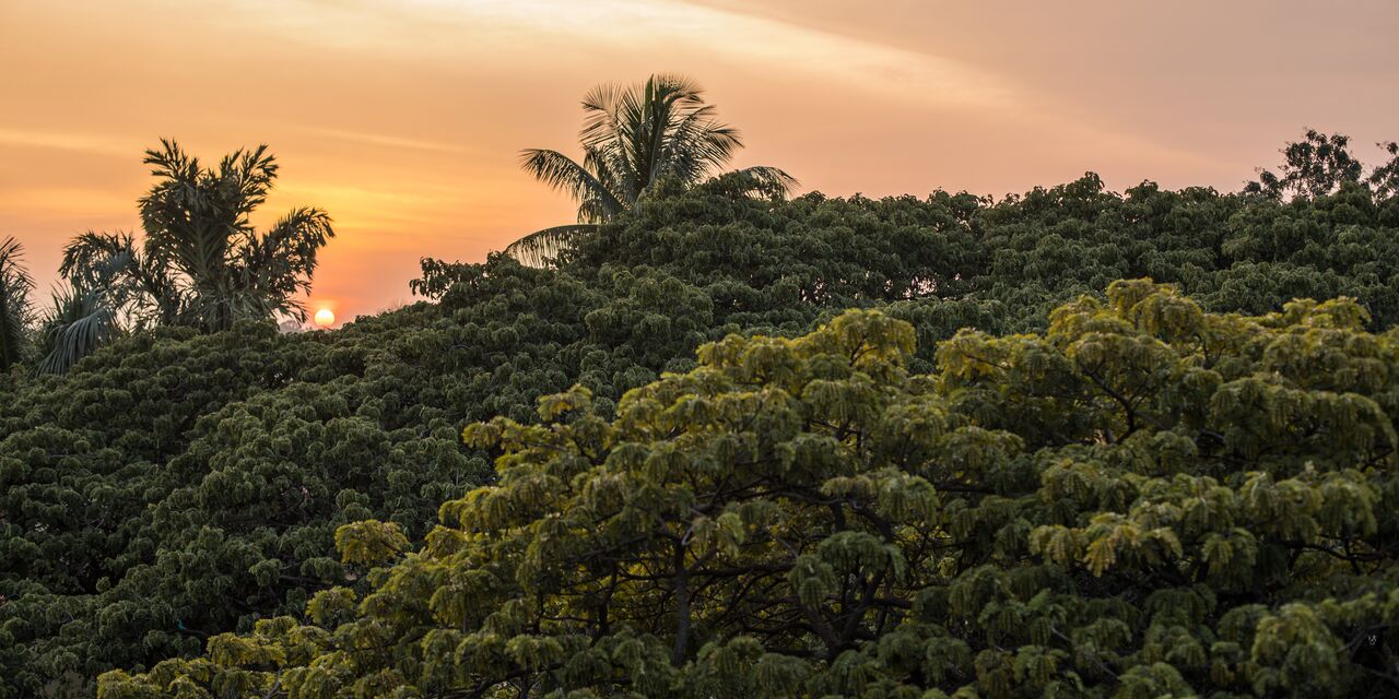 Zonsondergang in Bangalore