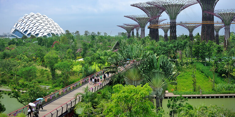 The super trees next to the greenhouse