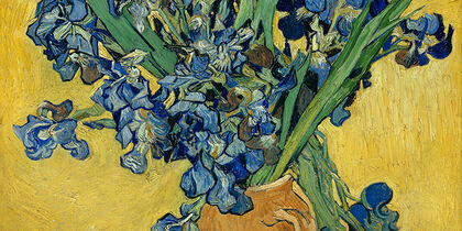 A detail of Irises