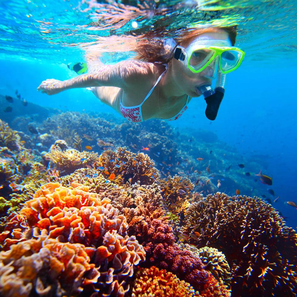 Klm 旅行ガイド バリ島で体験する最高に美しい海の世界