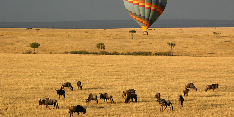 Met een luchtballon op safari