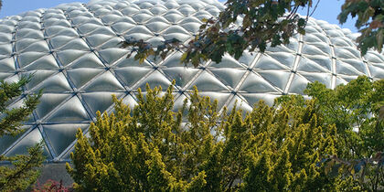 The tropics under a dome