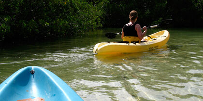 The tranquillity of the mangroves