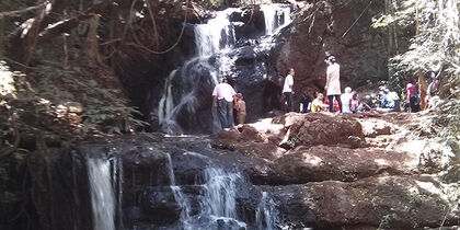 Cascade dans la forêt de Karura