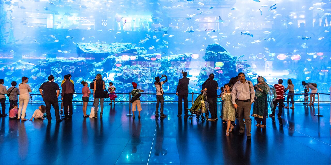 Aquarium de Dubaï dans le Dubai Mall