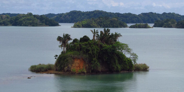 Gatun Lake