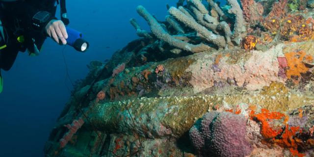 Travel Tips & Articles Bonaire