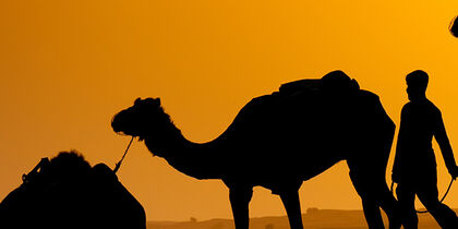 Camel ride through the desert