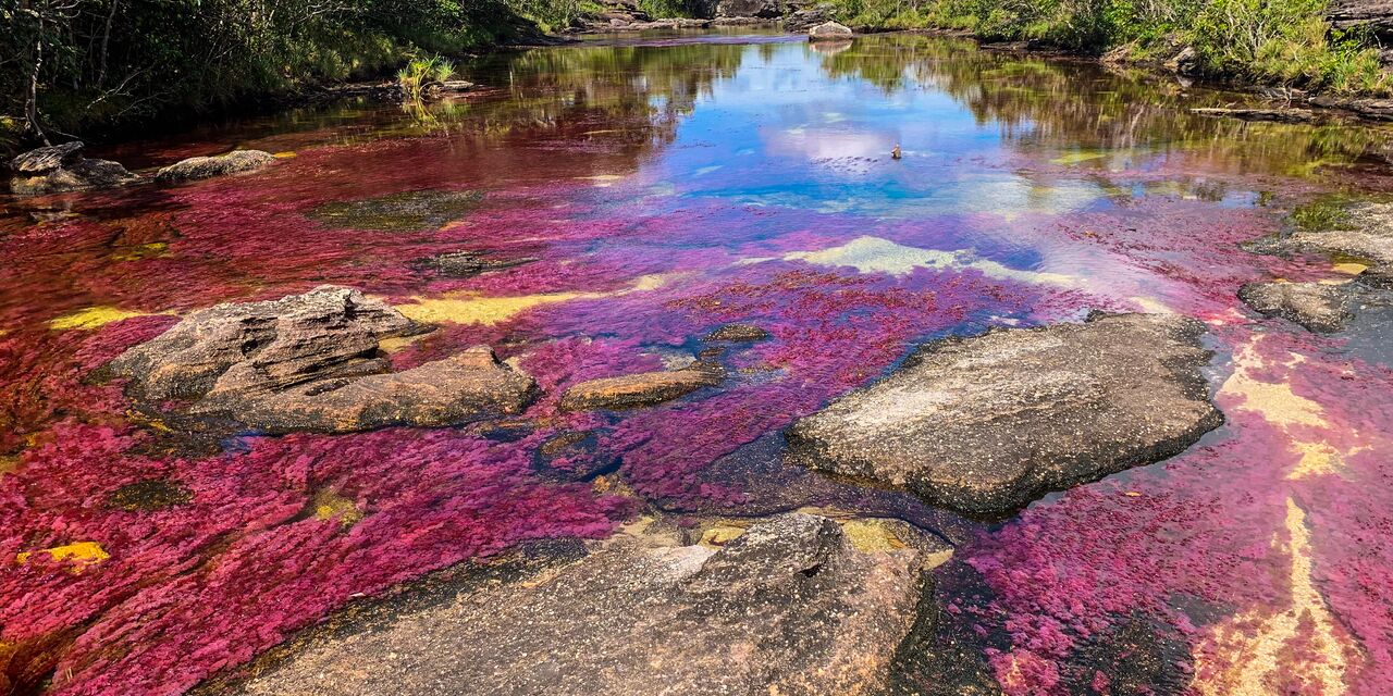 La rivière Caño Cristales