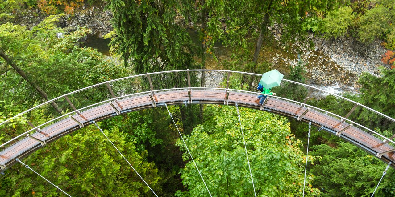 Pasee por el parque del puente colgante de Capilano