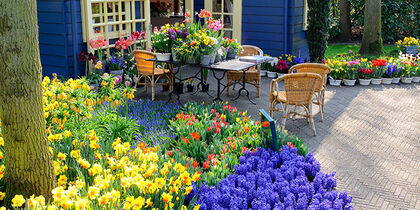 The flower store inside Keukenhof