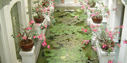 Indoor garden at The Oriental Spa