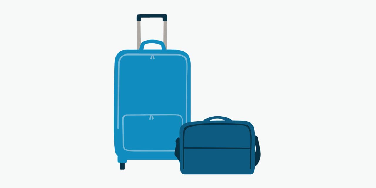 Klm baggage requirements dashing Cinosural