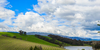 Plenty of picnic spots