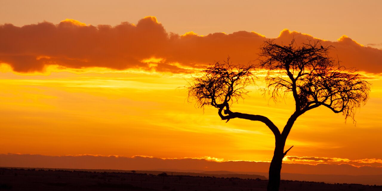 Coucher de soleil au Kenya